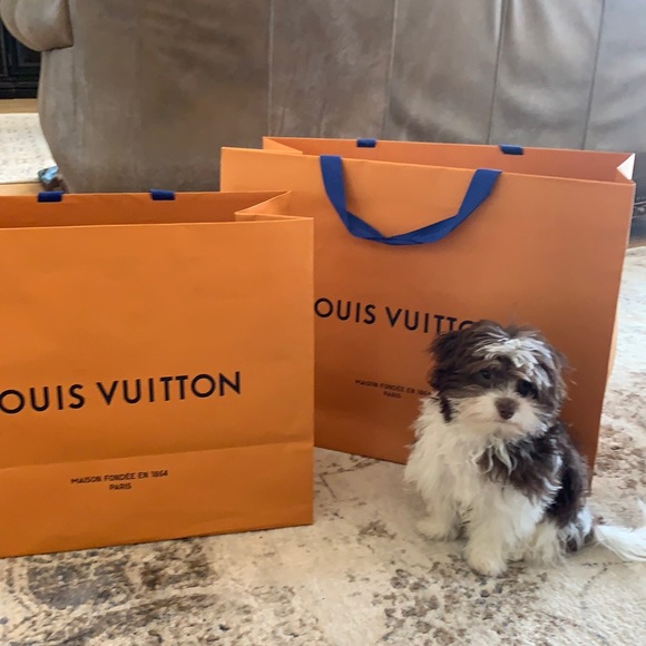 Louis Vuitton Accessories - Louis Vuitton Jumbo Shopping Bags